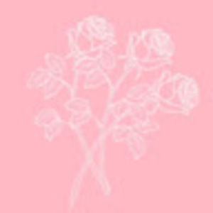 Meet your Posher, Jules